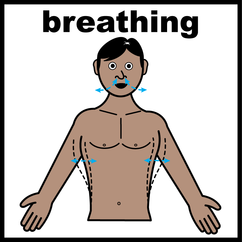 graphic. topless man with arms spread. arrows indicate action of breathing in and out. Text reads: breathing